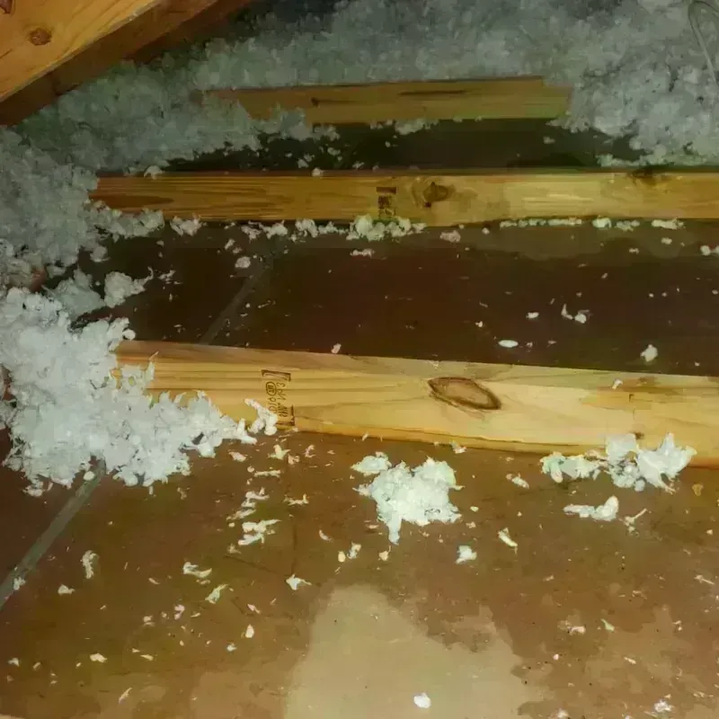 Attic Water Damage in Dayton, VA