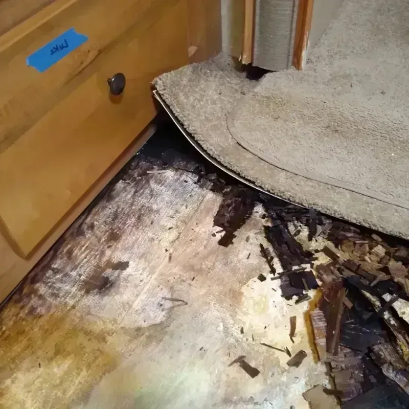 Best Wood Floor Water Damage Service in Dayton, VA